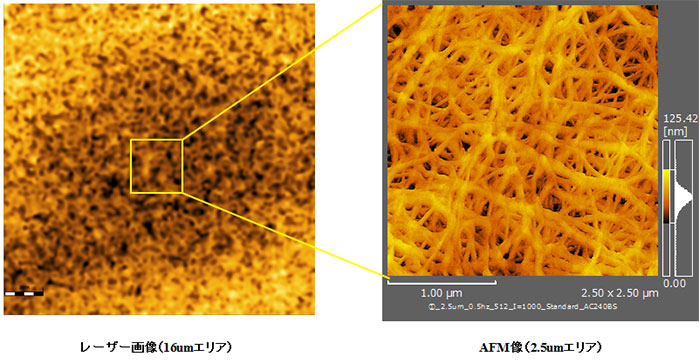 レーザー画像 AFM像